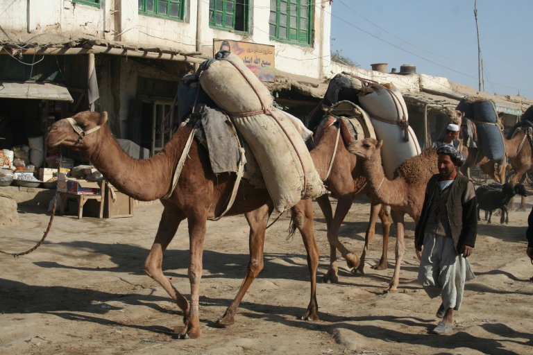 Todos los lunes, en la poblacion de Andkhoi, al noroeste de Afganistan, acuden las carvanas de los alrededores para el mercado semanal. Andkhoi es una poblacion de mayoria Turkmena.